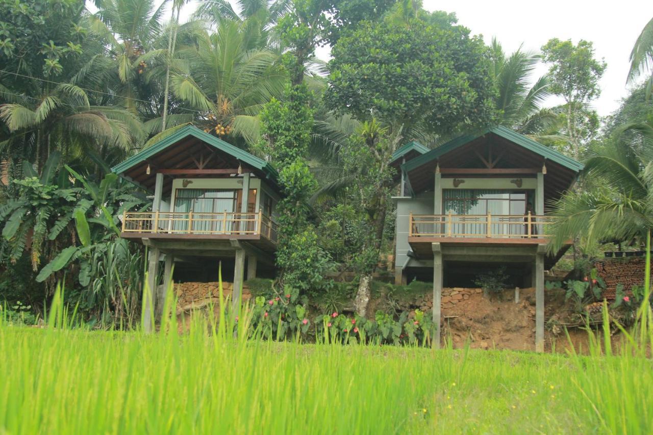 Rainforest Nest Deniyaya Luaran gambar