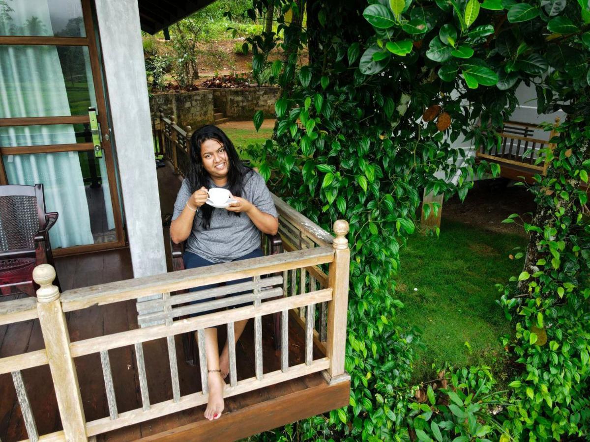 Rainforest Nest Deniyaya Luaran gambar